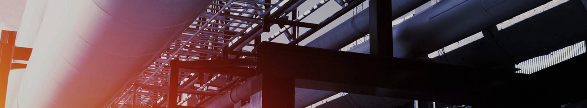 ထုတ်ကုန်များ